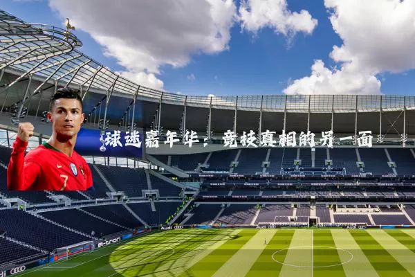球迷嘉年华：竞技真相的另一面